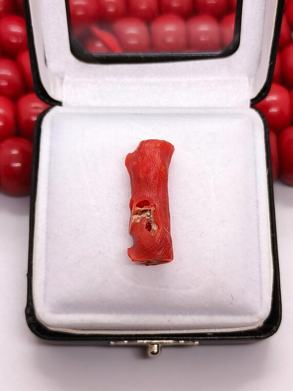 Branche De Corail Rouge Naturel Italien Poli - Environ 10 Carats, Bijou Vintage Unique