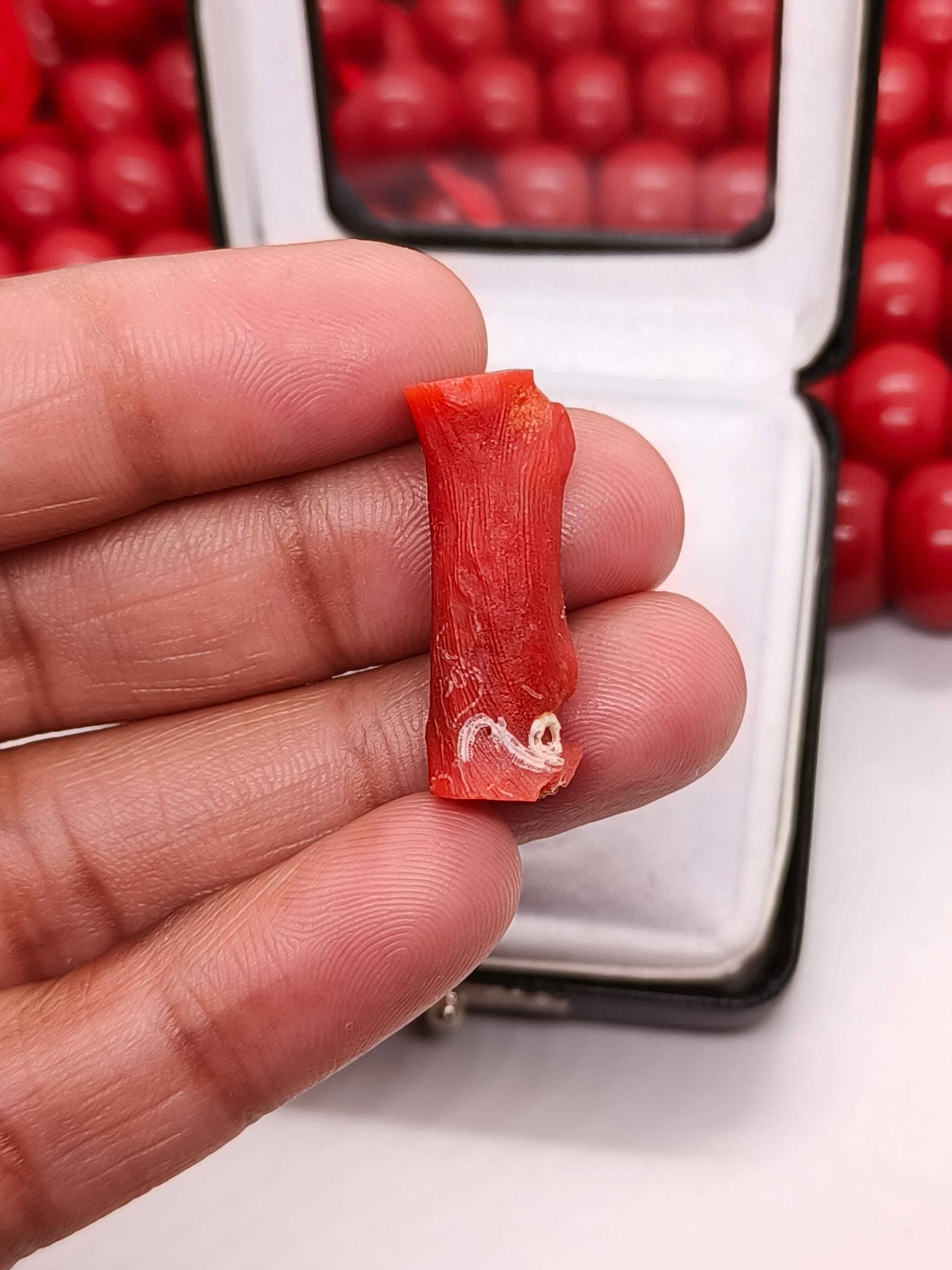 Branche De Corail Rouge Naturel Poli - Pierre Précieuse Lâche - Environ 11 Carats - Neuf Sans Emballage