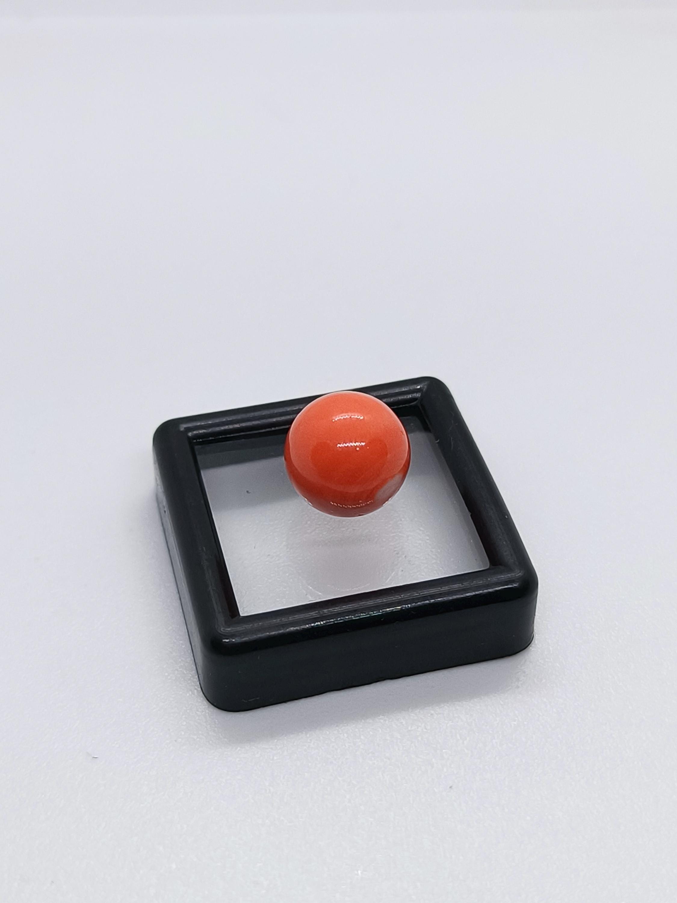 珊瑚玉 天然赤珊瑚丸玉ビーズ 11.1mm：日本産モモ珊瑚 - Etsy 日本