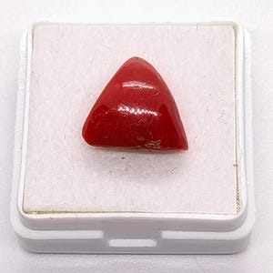 Cabujón de coral rojo trilling: piedra preciosa de cabujón triangular de coral rojo natural: hermosa piedra de color rojo para hacer joyas M154