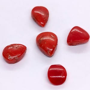 Incroyable paire de cabochons de corail rouge - 100% de pierres précieuses de poire de corail rouge naturel - Véritable cabochon de corail rouge pour la fabrication de bijoux