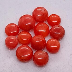 Ronde oranje koraal cabochon Lot-natuurlijke Italiaanse oranje koraal platte achterkant gecertificeerde cabines-Echte rode koraal cabochon M147