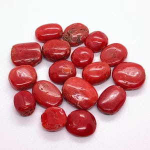 Lote de cabujones de coral rojo de un solo lado de calidad AA - Cabujón de coral rojo - Piedra preciosa de coral rojo 100 % natural - Cabujón de coral rojo italiano para hacer joyas