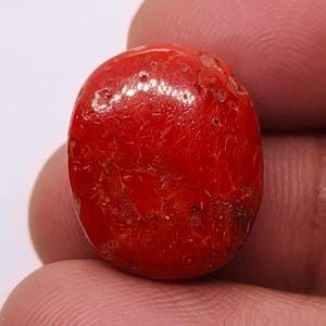 Cabochon di corallo del Mar Mediterraneo - 100% corallo italiano naturale Cabochon sciolto - Corallo rosso Forma ovale - Corallo rosso per la creazione di gioielli Pietra preziosa M152