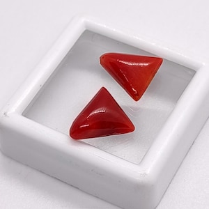 Lote de 2 cabujones de coral rojo auténtico, piedra preciosa de cabujón triangular de coral rosa natural, hermosa fabricación de joyas de color rosa