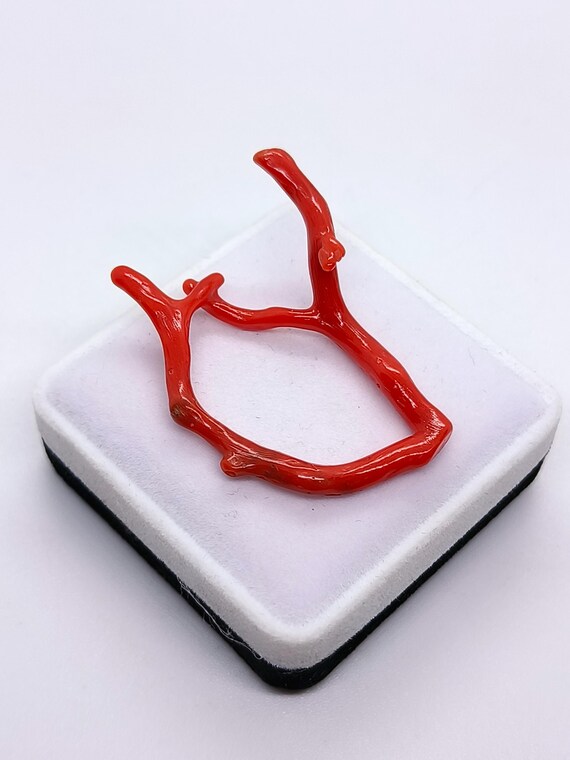 Branche De Corail Naturel Poli – Italie – 15 Carats – Blanc/rose – Non Teint – Pierre Précieuse