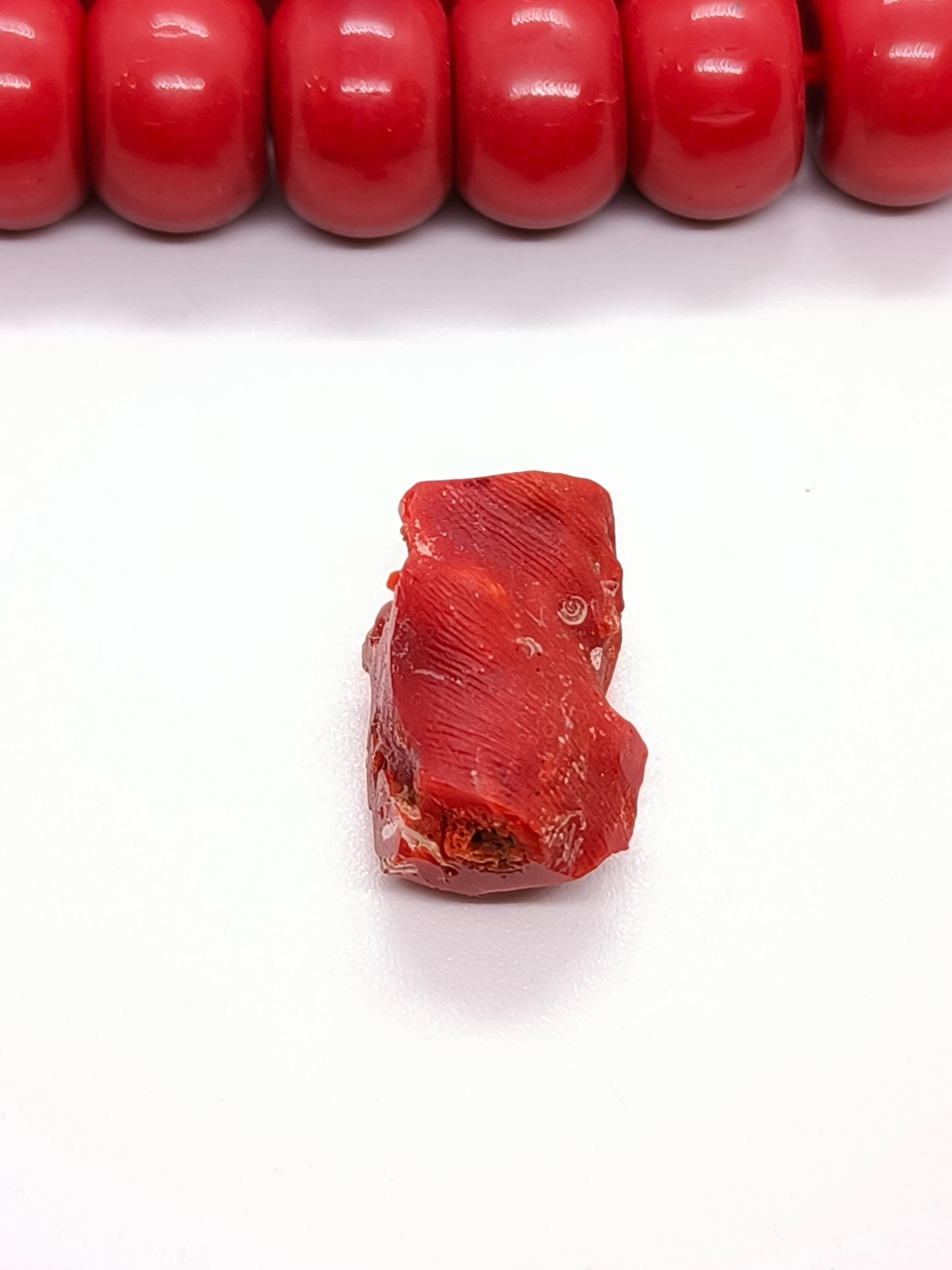 Corail Rouge Brut 100% Naturel - Branche Italienne, 50 Carats - Pour Création De Bijoux