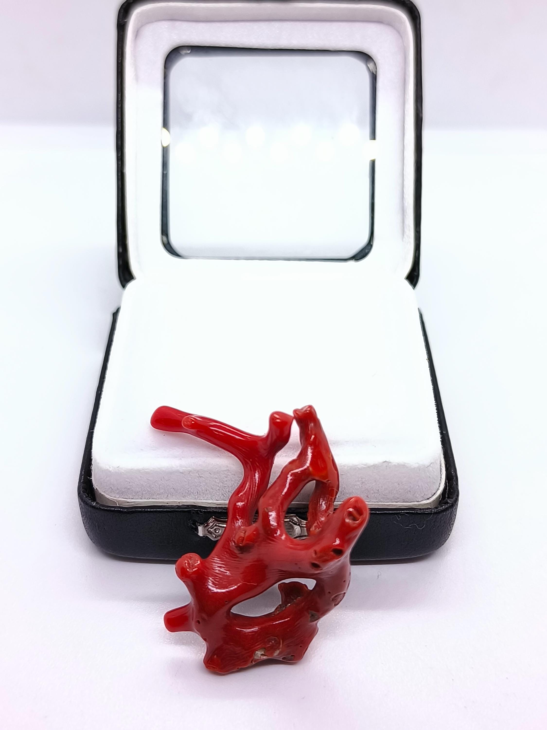 Branche De Corail Rouge Italien - Pierre Précieuse Naturelle 100 Carats - Vintage - Neuf Sans Emballage