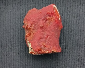 Unpolished Red Coral Branch: Natural Italian Gemstone for Jewelry Making