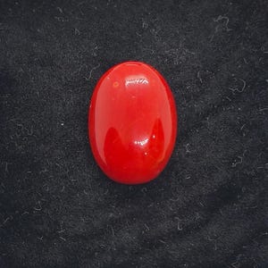 Coral vermelho natural oval 11,5 quilates - Cabochão de coral expansivo - Pedra solta de coral vermelho genuíno • Única • Para joias