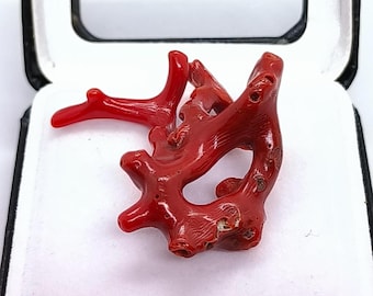 SW-Stahl 05412SB Embout de Clé à Pipe 1/4 Pouces, 13 MM - Bricolage