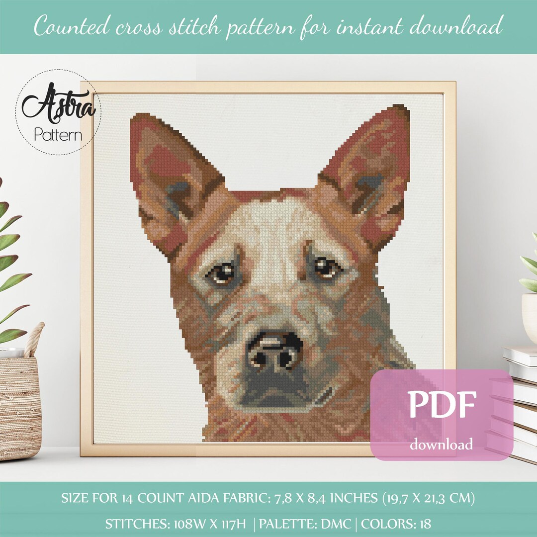 Red heeler store x