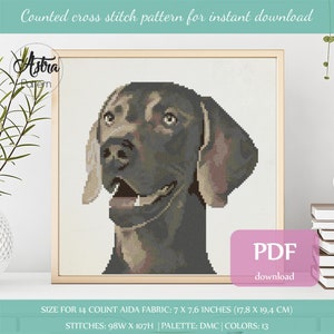 May include: A counted cross stitch pattern for a dog's head. The dog is a Weimaraner with a gray and brown coat. The pattern is for 14 count Aida fabric and measures 7 x 7.6 inches (17.8 x 19.4 cm). The pattern uses 13 colors and is available as a PDF download.