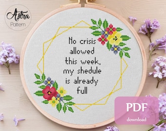 No crisis allowed Cross Stitch Pattern Digital format - PDF, Funny cross stitch, Snarky cross stitch, Sassy cross stitch #178
