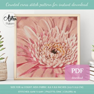 Patrón punto de cruz Margarita Gerbera Formato digital - PDF, Patrón punto de cruz Flor rosa, Patrón punto de cruz floral #054