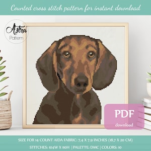 Brown Dachshund cross stitch pattern Digital format - PDF, Dachshund portrait cross stitch pattern, Dog Cross stitch pattern #361