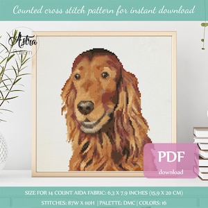 Irish setter cross stitch pattern Digital format - PDF, Red setter cross stitch pattern, Dog portrait cross stitch pattern #088