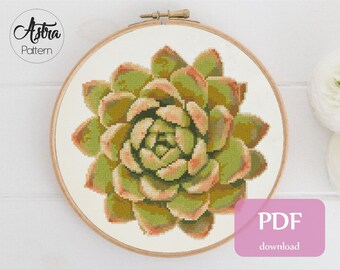 Succulent cross stitch pattern Digital format - PDF, Plant cross stitch pattern, Garden cross stitch pattern #047