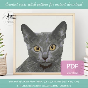 Korat cross stitch pattern Digital format - PDF, Grey cat cross stitch pattern, Cat portrait cross stitch pattern #103