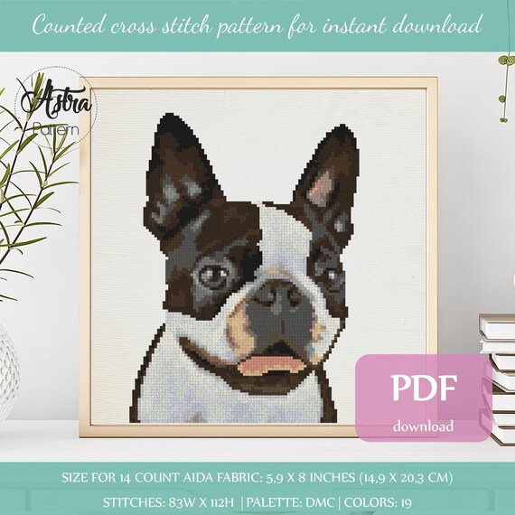 Border Collie Stamped Cross Stitch Kits For Beginners