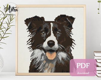Border Collie kruissteekpatroon Digitaal formaat - PDF, Border Collie portret kruissteekpatroon, Hond kruissteekpatroon #016
