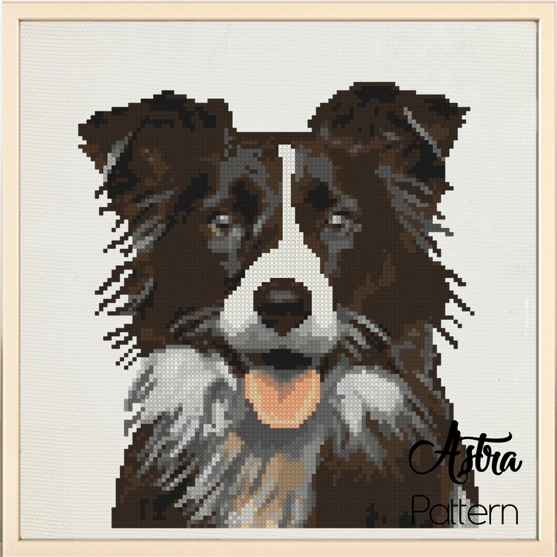 May include: Cross stitch pattern of a brown and white border collie with a black nose and tongue sticking out. The pattern is titled "Astra Pattern".