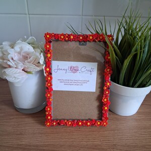 May include: A decorative photo frame with a red floral border. The frame contains a brown backing and a white card with the text "Jenny Wren Craft". The frame is displayed with a white flower pot and a potted plant.