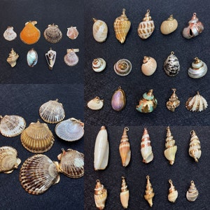 5PCS Natural Conch Shell Pendants, 25-45mm Sea Shells Charms with Plated Gold,  DIY Seashell Charms Jewelry Pendant