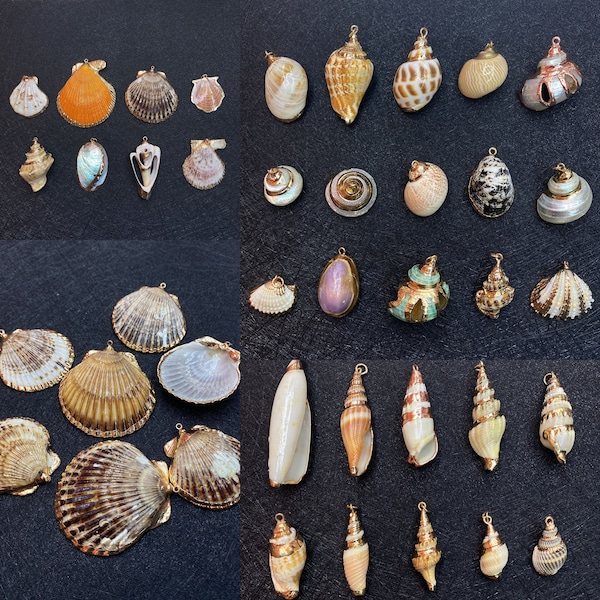 5 STÜCKE Natürliche Conch Shell Anhänger, 25-45mm Muscheln Charms mit überzogenem Gold, DIY Seashell Charme-Schmuckanhänger