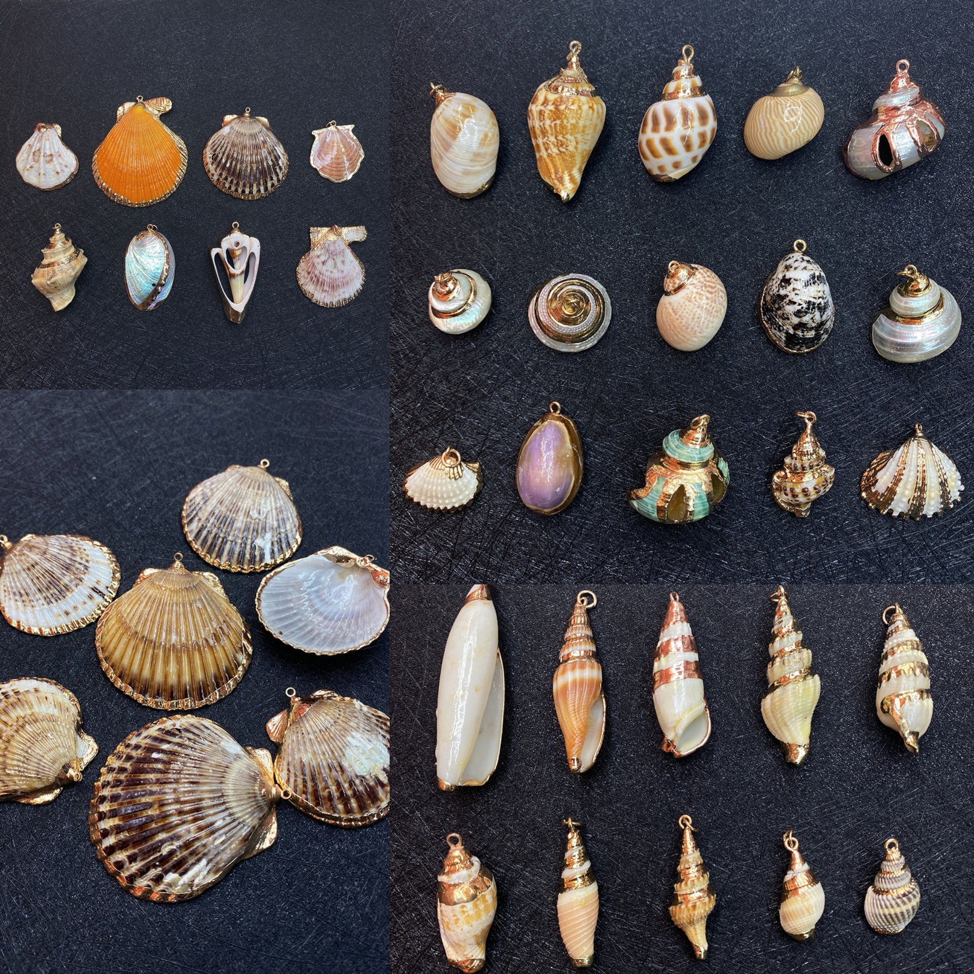 Conch Shell Beads 