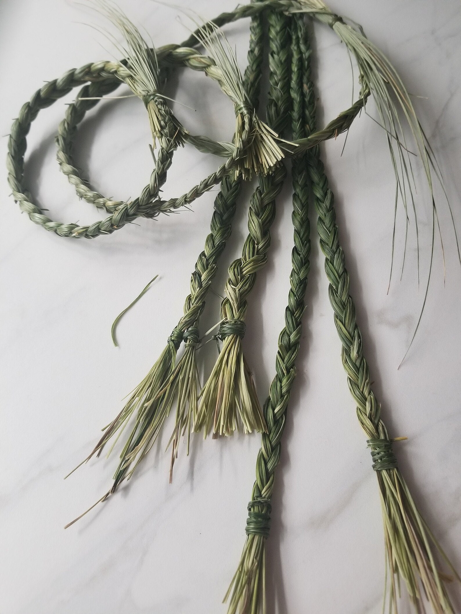 Local Organic Sweetgrass Braid and Braided Loop Ontario Grown Etsy