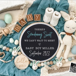 Anuncio de embarazo digital de Pascua para redes sociales Baby Boy Reveal Expecting- Personalize- Gender Reveal- Letter Board Baby