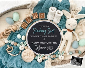 Easter Digital Pregnancy Announcement for Social Media Baby Boy Reveal Expecting- Personalize- Gender Reveal- Letter Board Baby