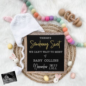 Easter Pregnancy Announcement Digital - Baby Announcement Sign - Some Bunny -  Baby Reveal for Social Media - Spring Pregnancy Announcement