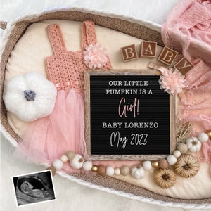 Fall Girl Digital Pregnancy Announcement for Social Media -Baby Girl Gender Reveal Autumn- Personalize -Letter Board Baby Thanksgiving