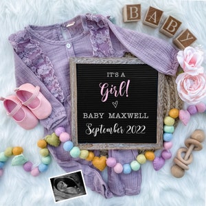 Pregnancy Announcement Digital - Baby Announcement Sign - Baby Girl Reveal for Social Media - Spring Pregnancy Announcement