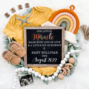 IVF Zwangerschap Aankondiging Digitale Download voor Social Media -Miracle Rainbow Baby Aankondiging-Baby Reveal Board-Digitale Baby Aankondiging
