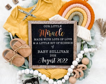 IVF Pregnancy Announcement Digital Download for Social Media -Miracle Rainbow Baby Announcement-Baby Reveal Board-Digital Baby Announcement