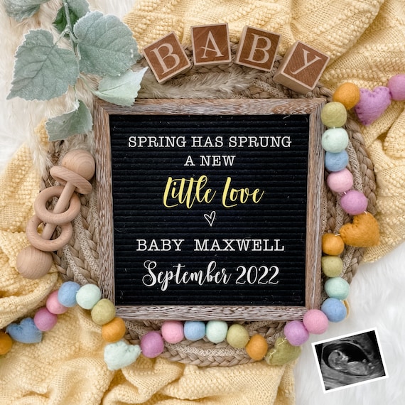 Spring Pregnancy Announcement Digital Baby Announcement - Etsy