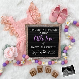 Pregnancy Announcement Digital - Baby Announcement Sign - Baby Girl Reveal for Social Media - Spring Pregnancy Announcement
