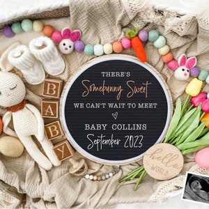 Easter Pregnancy Announcement Digital - Baby Announcement Sign-  Baby Reveal for Social Media - Spring Pregnancy Announcement