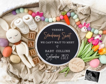 Easter Pregnancy Announcement Digital - Baby Announcement Sign-  Baby Reveal for Social Media - Spring Pregnancy Announcement