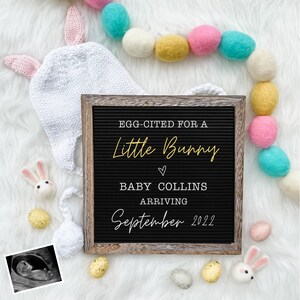 Easter Pregnancy Announcement Digital - Baby Announcement Sign - Little Bunny - Baby Reveal for Social Media - Spring Pregnancy Announcement