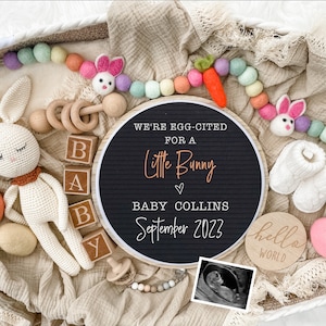 Easter Pregnancy Announcement Digital - Baby Announcement Sign-  Baby Reveal for Social Media - Spring Pregnancy Announcement