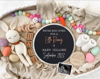 Easter Pregnancy Announcement Digital - Baby Announcement Sign-  Baby Reveal for Social Media - Spring Pregnancy Announcement