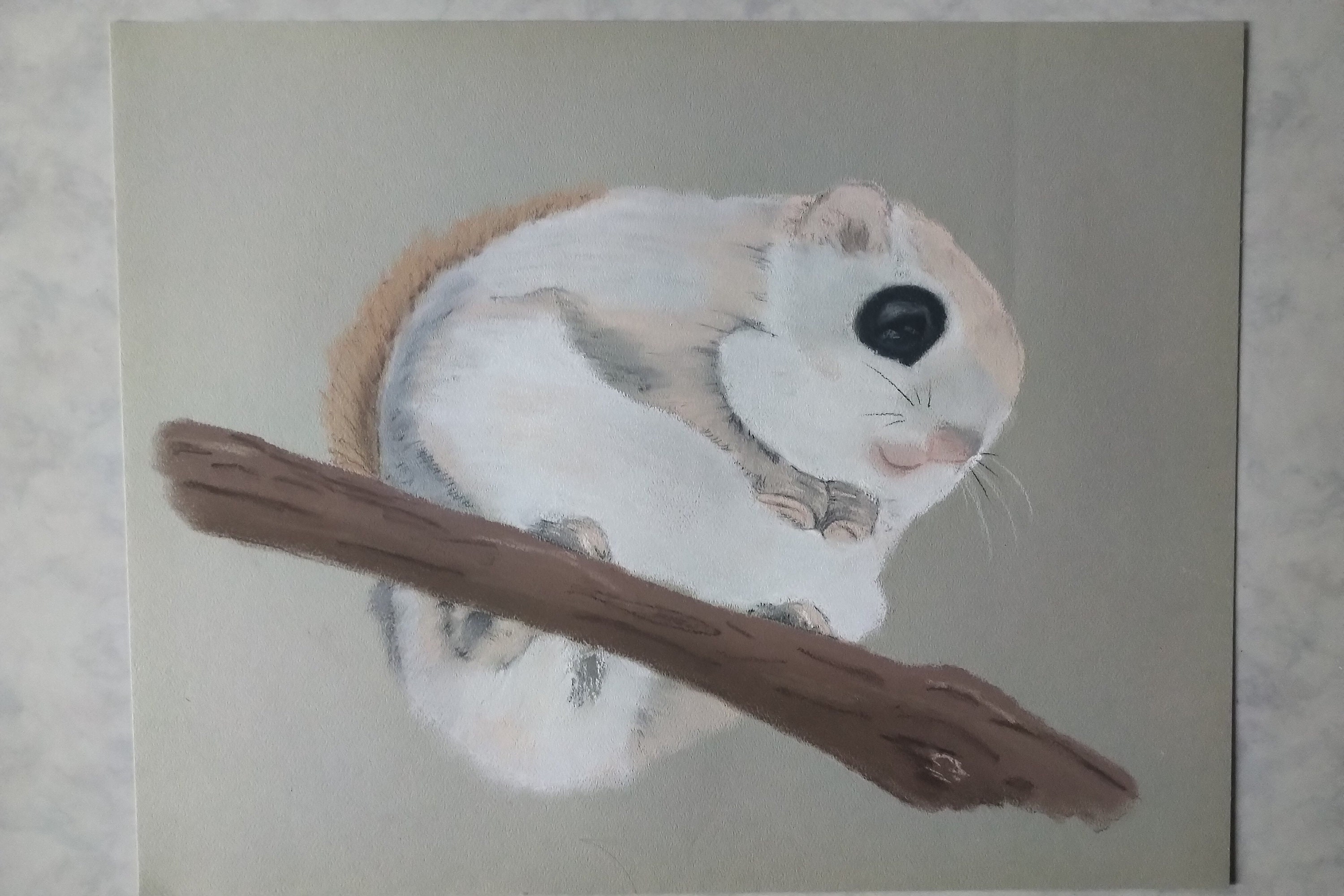 In Uc Browser Japani Sex Video - Original Pastel Drawing of a Japanese Dwarf Flying Squirrel - Etsy