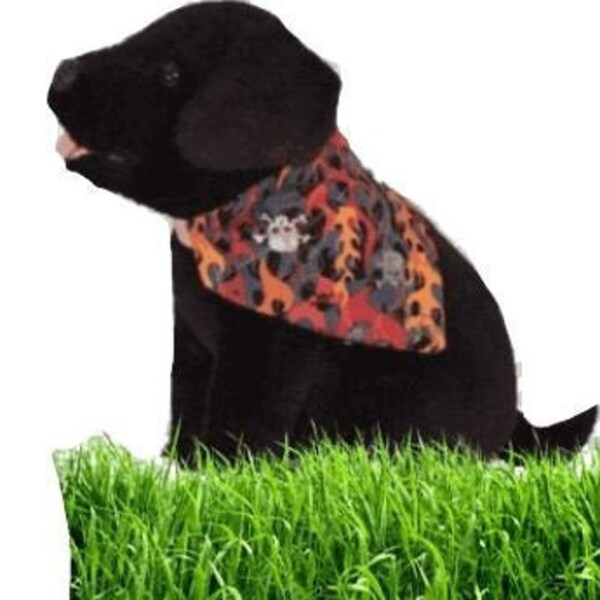 Pet Bandana, Scarf, Reversible