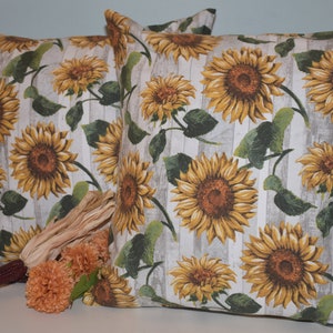 Fall throw pillow ,Pillow covers