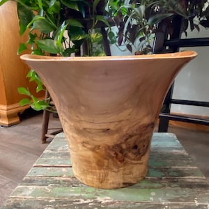 Pode incluir: Um grande vaso de madeira artesanal com uma borda alargada. O vaso tem um padrão natural de grão de madeira e está colocado sobre uma superfície pintada de verde desgastado. O vaso é preenchido com plantas verdes.