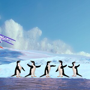 3336 penguins on ice     229  not for sale for 45 days until after  july 25